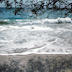 Beach at La Martinque