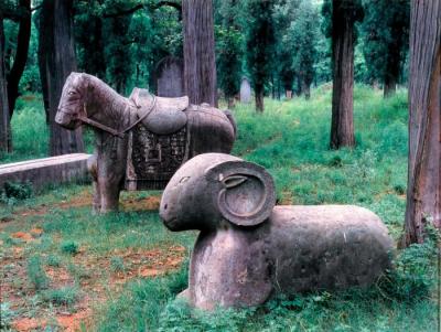 The Kong Forest (Survey 1986 Portfolio)