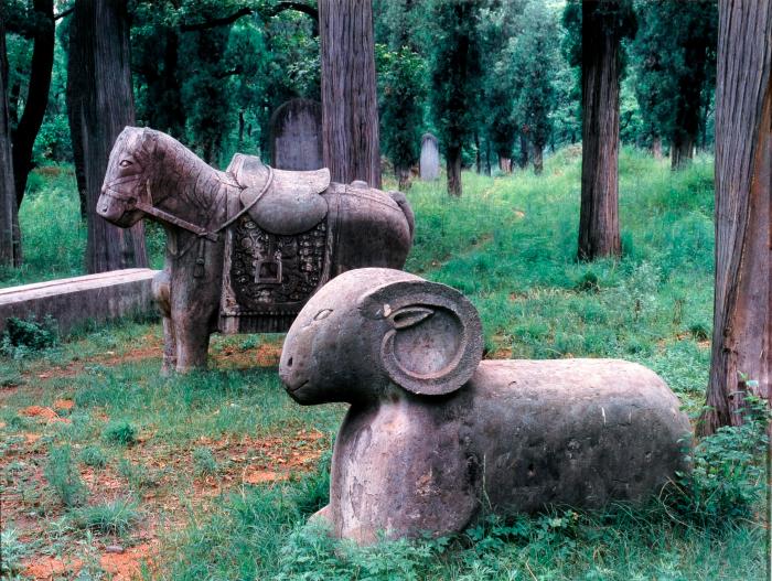 The Kong Forest (Survey 1986 Portfolio)