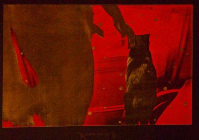 Alchemy with Cat