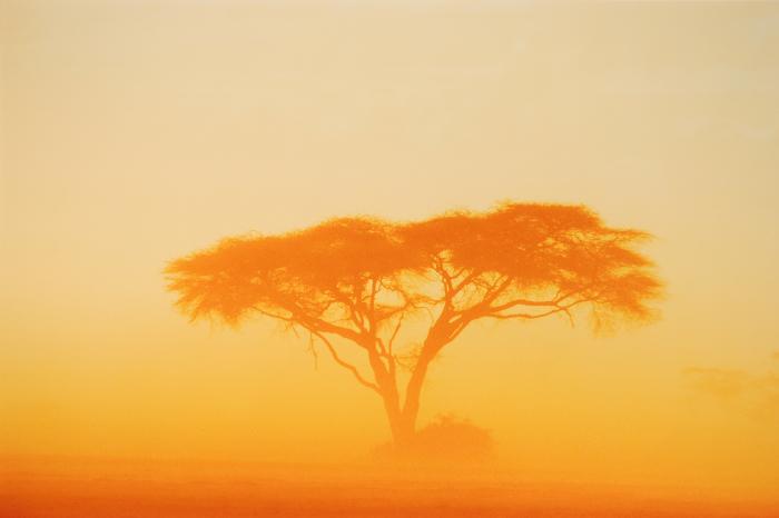 Dust Storm