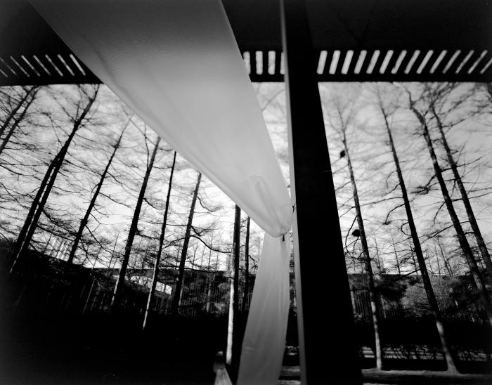 Asbestos Removal Tube, University at Albany
